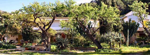 Hostal Residencia Catalina Vera, alojamiento en el Port d'Andratx, Tarifas y reservas